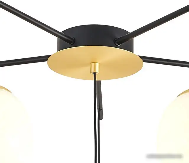 Подвесная люстра Favourite 3047-6P – фото товара