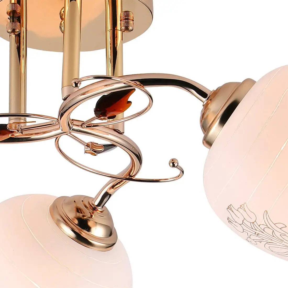 Escada Anemone 1121/3PL – фото товара