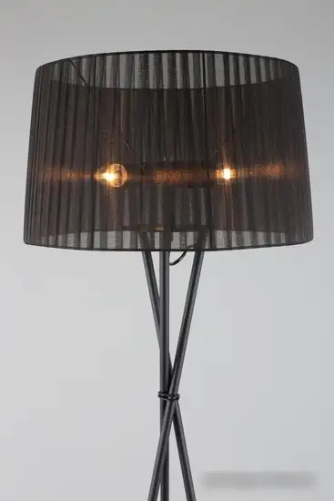 Торшер Omnilux Fascia OML-62915-03 – фото товара