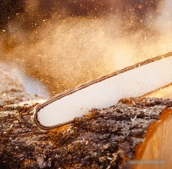 Бензопила Oasis GS-14 – фото товара