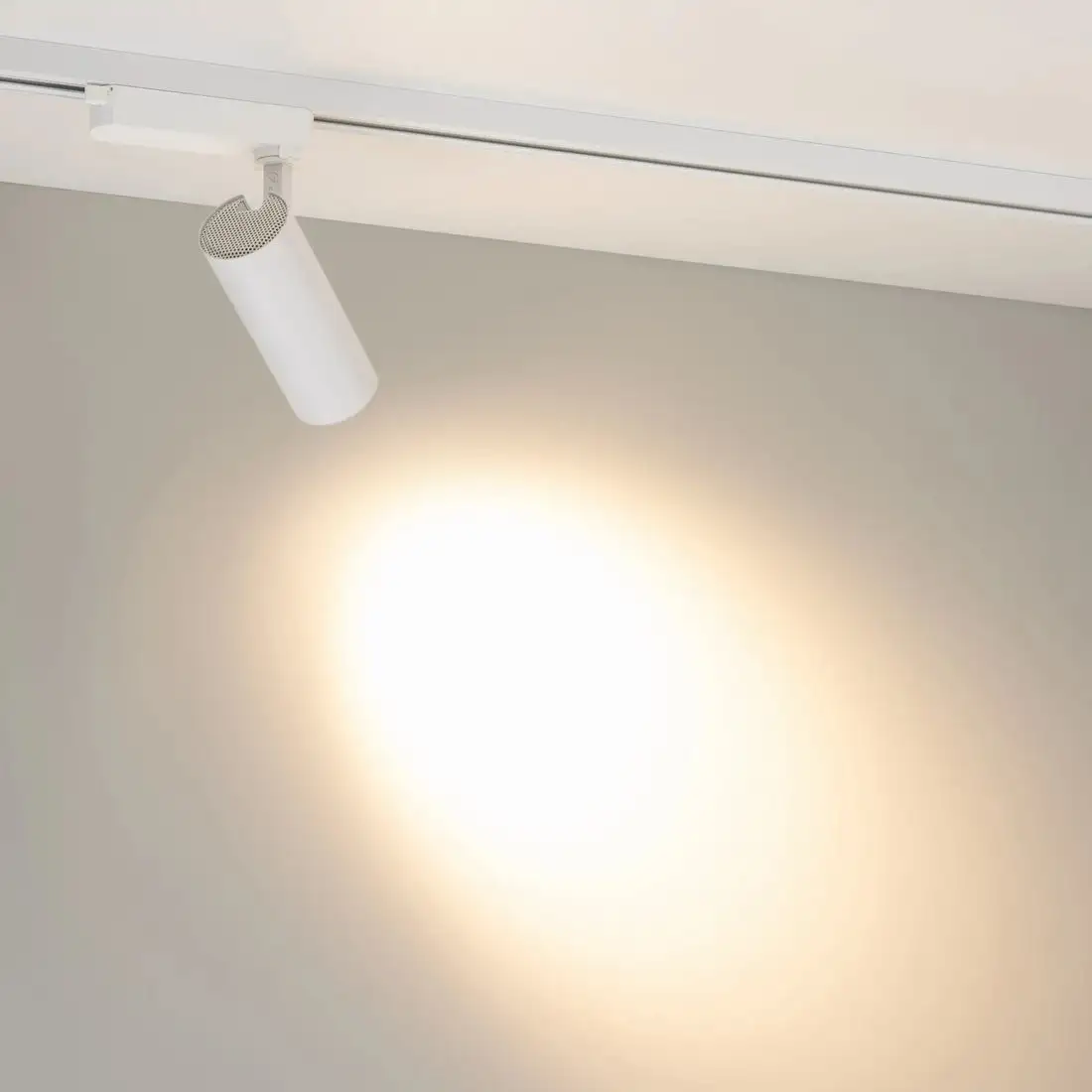 Трековый светильник Arlight LGD-GERA-2TR-R60-15W Warm3000 WH 055068 – фото товара