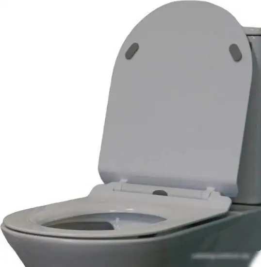 Сиденье для унитаза Cerutti Spa Bernina CT7586 – фото товара