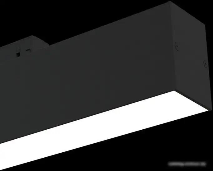 Линейный светильник Maytoni TR012-2-12W4K-B – фото товара