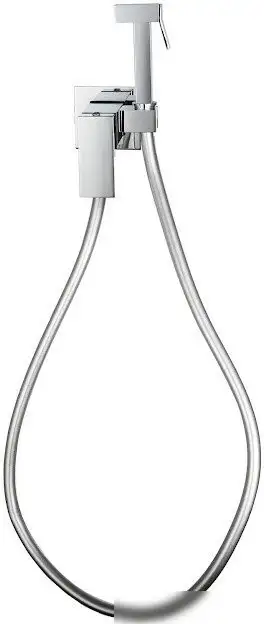 Гигиенический душ Roxen Caspia 50096000-CH - фото товара