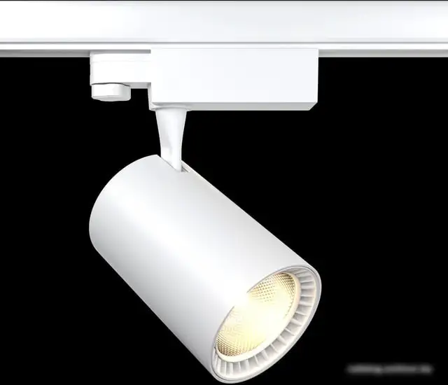 Трековый светильник Maytoni Vuoro TR029-3-20W3K-W – фото товара
