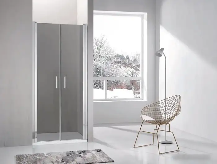 Душевая дверь Adema Nap Duo-90 (тонированное стекло) - фото товара