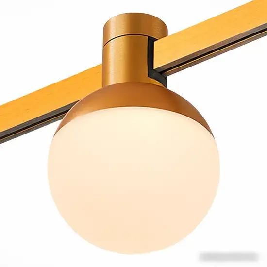 Трековый светильник ST Luce Farm ST815.206.05 – фото товара