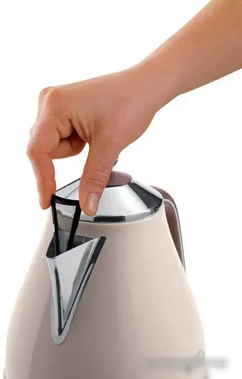 Чайник DeLonghi KBOV 2001.BG - фото товара