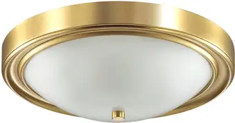 Припотолочная люстра Lumion Nina 5259/3C – изображение в каталоге