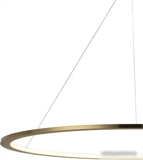 Подвесная люстра LOFT IT Ring 10014XXL – фото товара