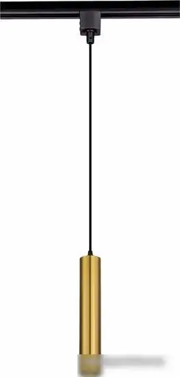 Трековый светильник ST Luce ST151.406.01  – фото товара