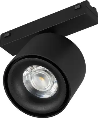 Трековый светильник Arlight MAG-VIBE-POINT-R75-10W Day4000-MIX BK 24deg 045000 – изображение в каталоге