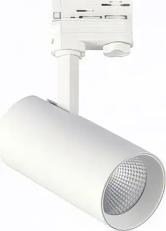 Трековый светильник ST Luce ST661.546.30 – изображение в каталоге