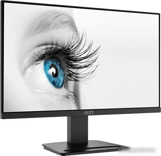 Монитор MSI Pro MP2412 – фото товара