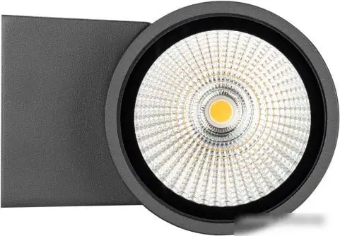 Бра Arlight LGD-FORMA-WALL-R90-12W Warm3000 029976