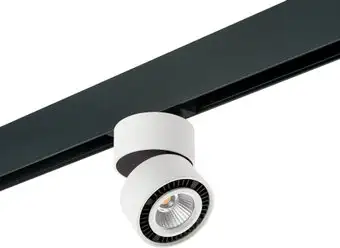 Трековый светильник Lightstar Forte Muro PRO213816 – изображение в каталоге