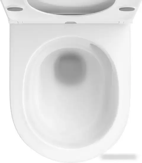Унитаз подвесной Wellsee Croquis RimFree 182611001 (чаша, пневмокрышка, глянцевый белый) - фото товара