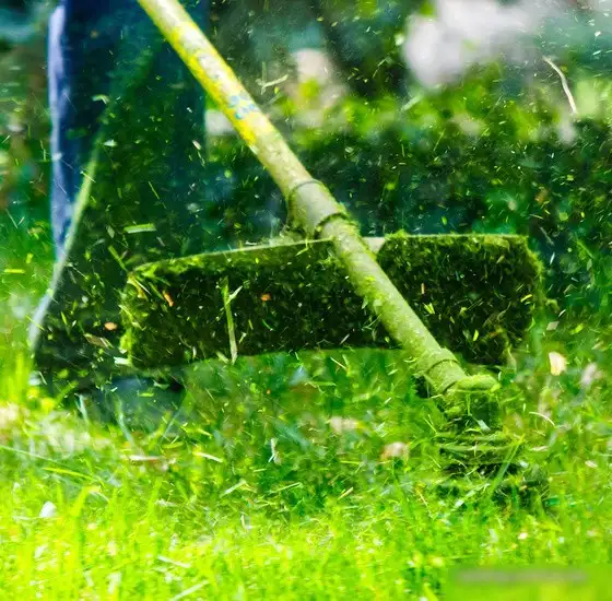 Триммер Zerten TB-250P – фото товара