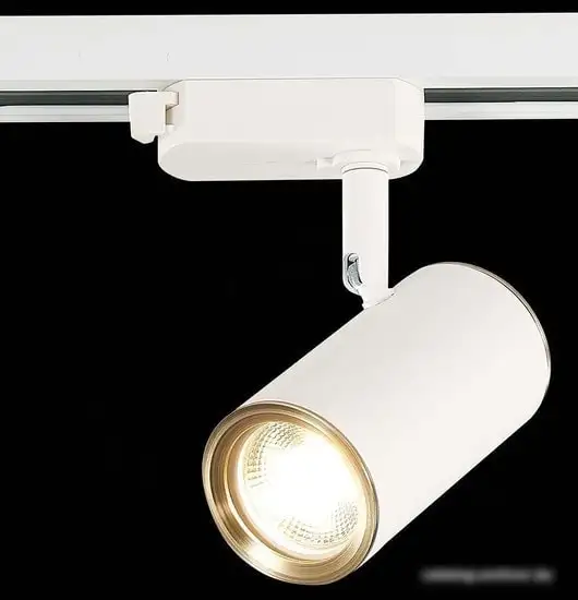 Трековый светильник ST Luce Cromi ST301.536.01 – фото товара