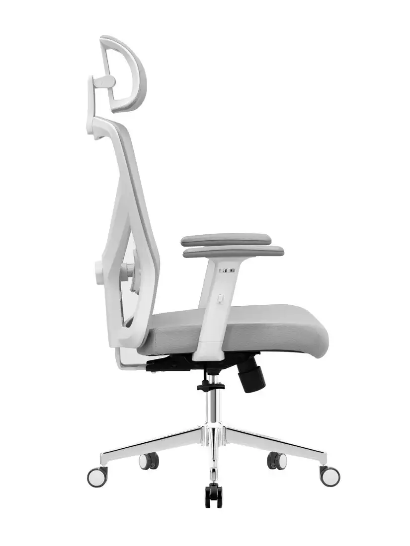 Офисное кресло Evolution ErgoLine 2 (серый) – фото товара