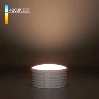 Светодиодный модуль Elektrostandard BMGU1002 – изображение в каталоге