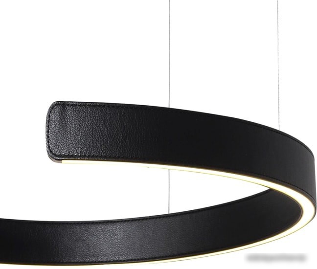 Подвесная люстра LOFT IT Ring 10025/400 Black – фото товара