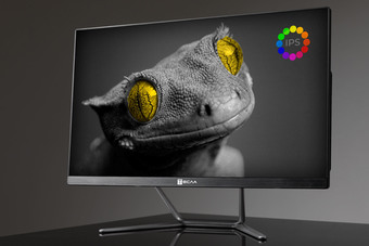 Моноблок ТЕСЛА Z24B 2416500 – изображение в каталоге