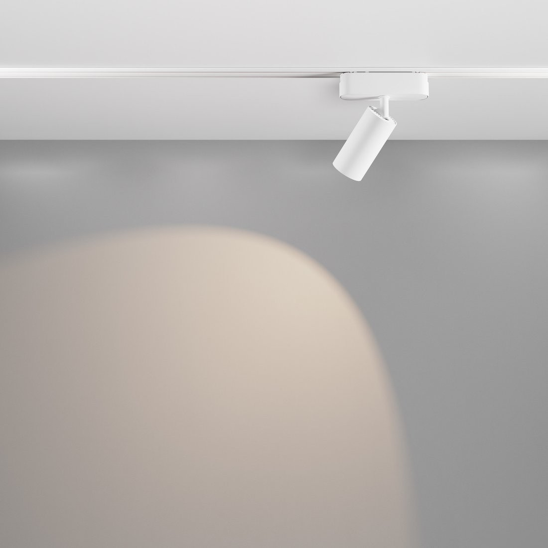 Трековый светильник Technical TR103-1-12W4K-M-W – фото товара