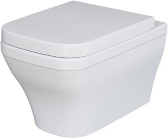 Унитаз Ambassador Benefit 2203T20001R (белый, с толстым сиденьем) - изображение в каталоге