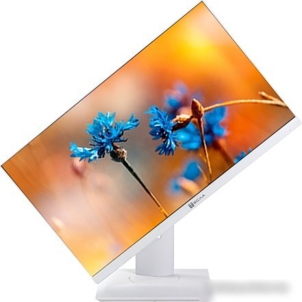 Моноблок ТЕСЛА P24WP 2416500 – фото товара