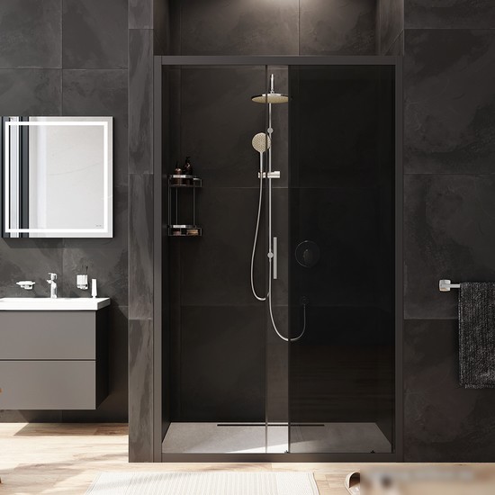 Душевая дверь AM.PM Gem Solo W90G-120-1-195BG - фото товара