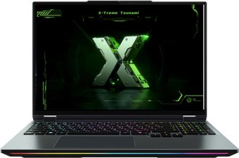 Игровой ноутбук Maibenben X-Treme Tsunami X16E X16E-R99558NQSHBRE0 – изображение в каталоге