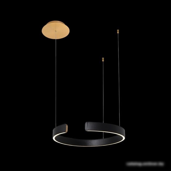 Подвесная люстра LOFT IT Ring 10025/400 Black – фото товара