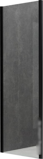 Душевая стенка Allen Brau Priority 3.31042.BBA 79x200 294071 (черный браш) - изображение в каталоге