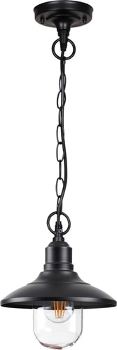 Уличный подвесной светильник Odeon Light Campa 4965/1