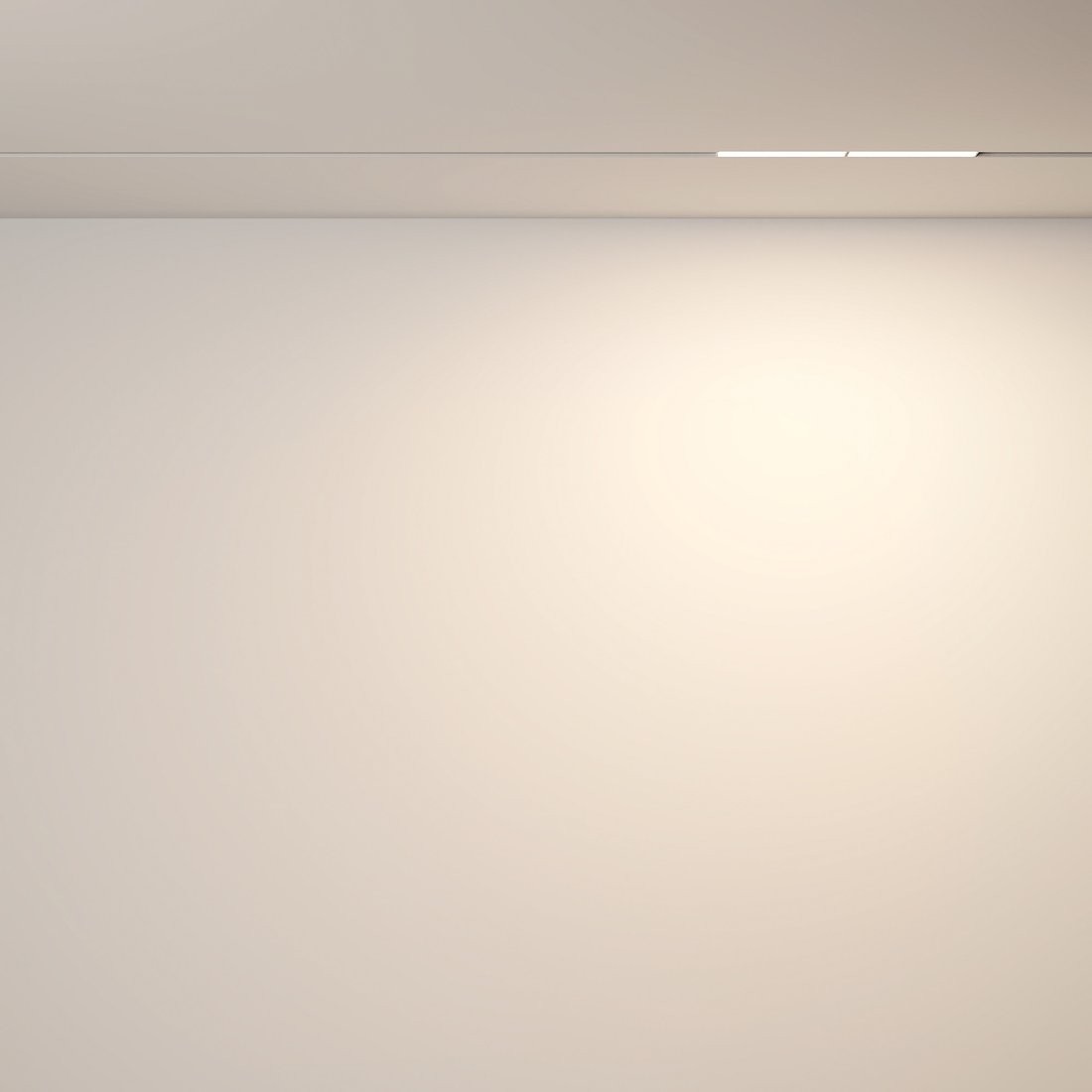 Трековый светильник Technical TR106-2-12W3K-W – фото товара