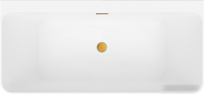 Ванна Wellsee Bromance 170x78 231601004 (пристенная ванна белый глянец, экран, ножки, сифон-автомат золото) - фото товара