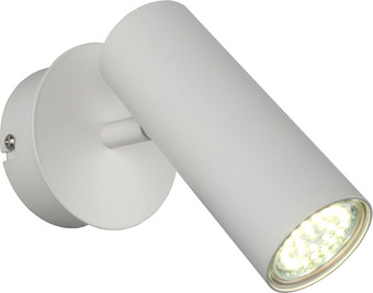 Спот Aployt Rein APL.004.01.01 – изображение в каталоге