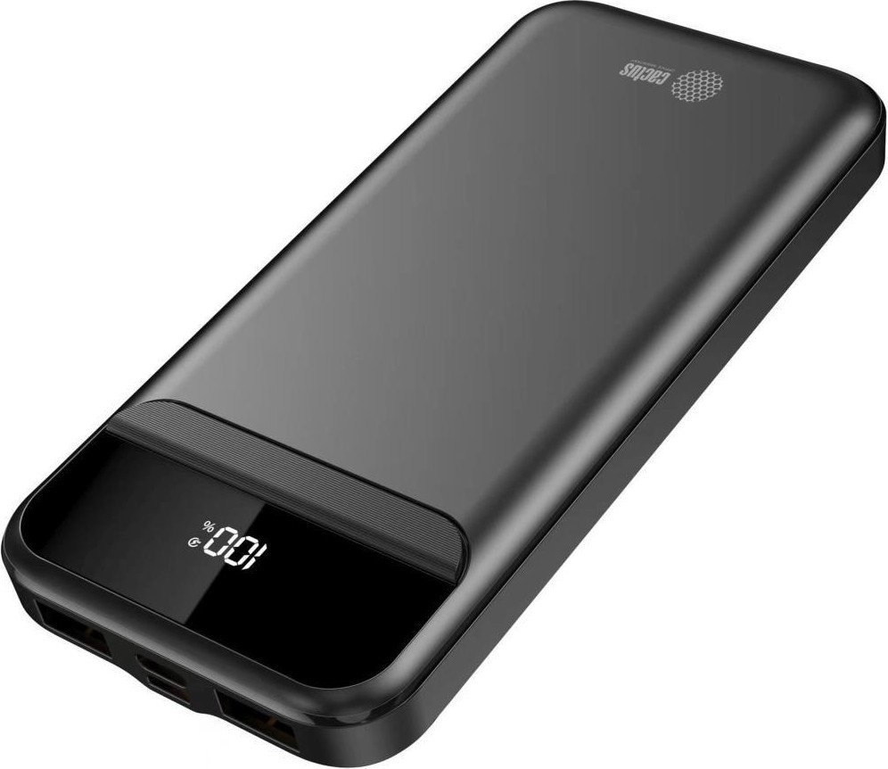 Внешний аккумулятор CACTUS CS-PBFSCA-10000 10000mAh (черный) – фото товара
