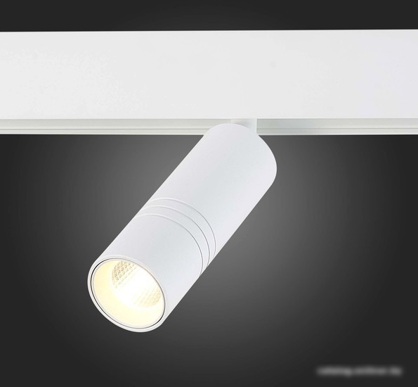 Трековый светильник ST Luce Lemmi ST365.536.12 – фото товара