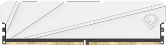 Оперативная память Netac Shadow S 16ГБ DDR4 2666 МГц NTSDD4P26SP-16W – изображение в каталоге