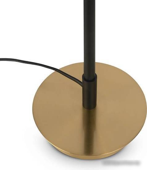 Настольная лампа Freya Enzo FR5201TL-01B – фото товара