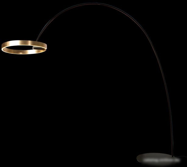 Торшер LOFT IT Ring 10027