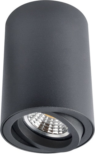 Точечный светильник Arte Lamp Sentry A1560PL-1BK – изображение в каталоге