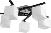 Люстра Arte Lamp Visuale A8165PL-5BK – изображение в каталоге