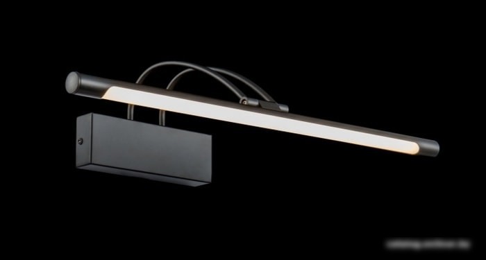 Подсветка для зеркал Maytoni Finelli MIR004WL-L12B – фото товара