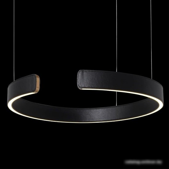 Подвесная люстра LOFT IT Ring 10025/400 Black – фото товара