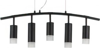 Подвесная люстра Lightstar Rullo LR7353738721 – изображение в каталоге