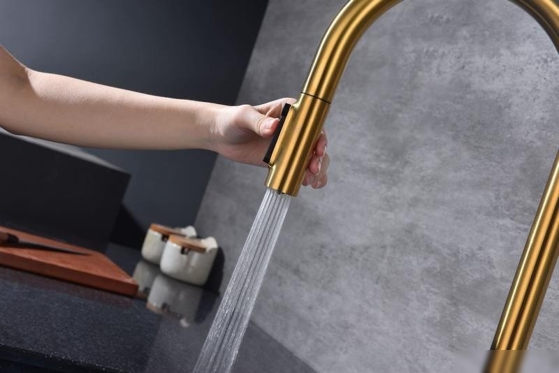 Смеситель Paulmark Iniversal Un213880-BG (золото/брашированное золото) - фото товара