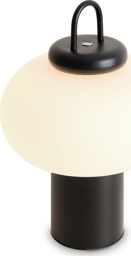 Настольная лампа Freya Take FR6175TL-L10B – фото товара